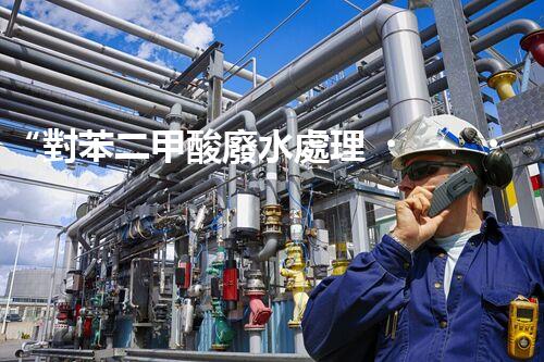“對苯二甲酸廢水處理，綠色創(chuàng)新引領環(huán)保新篇章”